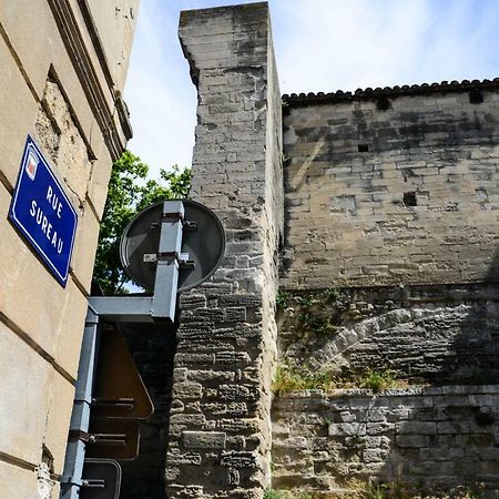 Le Sureau Apartment Avignon Bagian luar foto