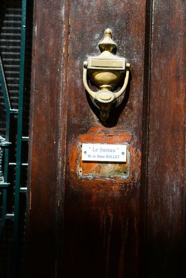 Le Sureau Apartment Avignon Bagian luar foto